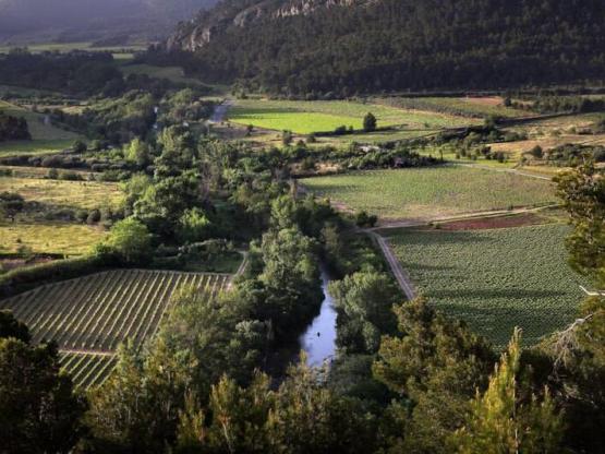 Stacaravan Standard 32m² (3 slaapkamers) + terras + airconditioning