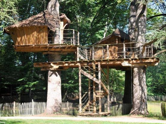 Cabane Familiale des Ouistitis (à partir de 2 ans)