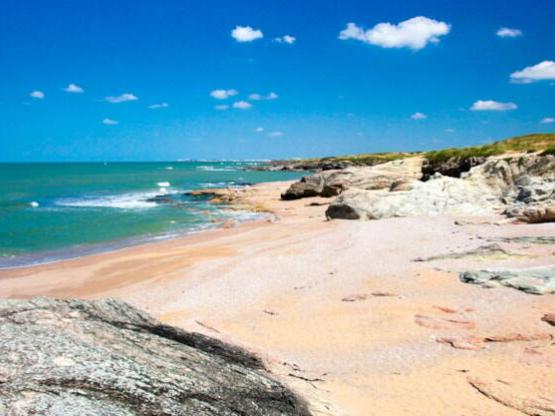 Mobil-Home Privilège Noirmoutier - 3 Chambres