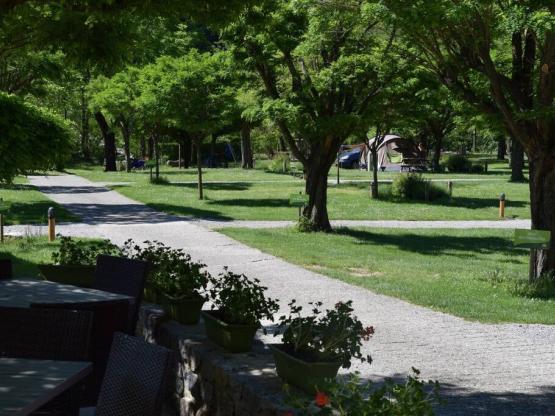 Stellplatz: Auto + Zelt/Wohnwagen oder Wohnmobil