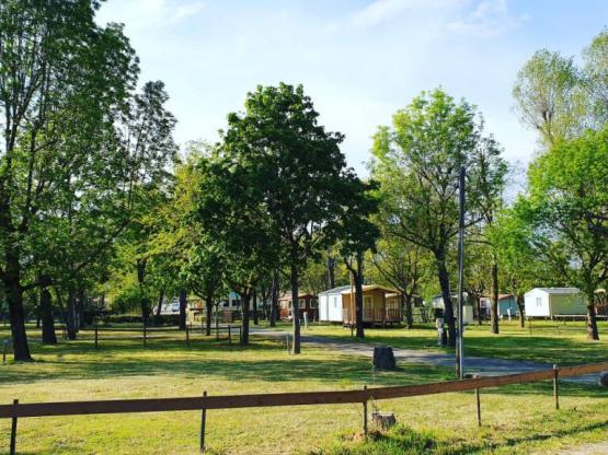 FORFAIT EMPLACEMENT (1tente ,1 caravane ou 1 camping-car +1 voiture) sans electricité