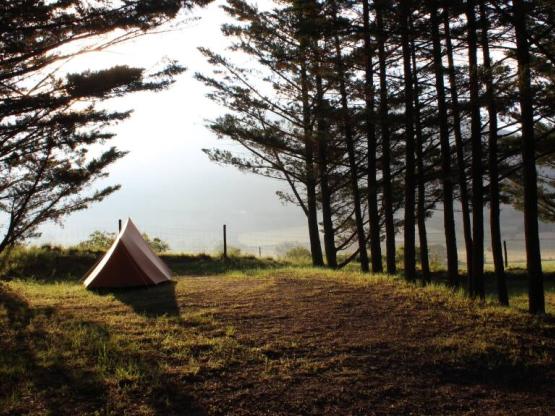 Stellplatz + Wagen + Zelt oder Wohnwagen