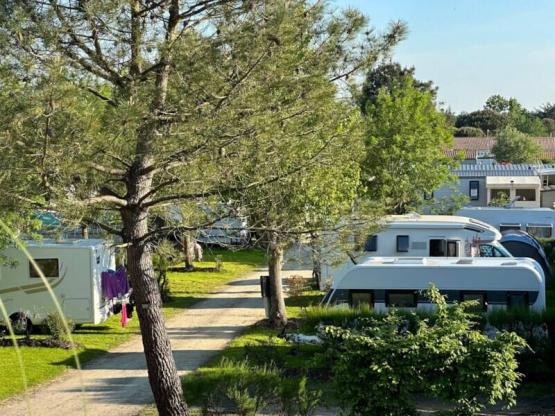 Pitch + car (per night)