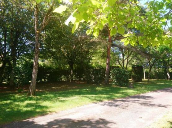 Stellplatz Nature ohne Strom (Zelt, Wohnwagen, Wohnmobil / 1 Auto)