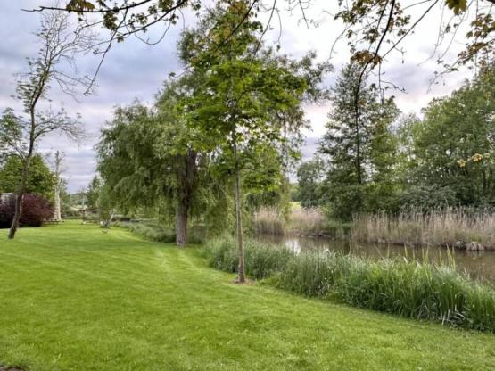 Emplacement (1 tente Igloo + 1 voiture)