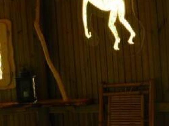 Cabane Familiale des Chimpanzés (à partir de 2 ans)