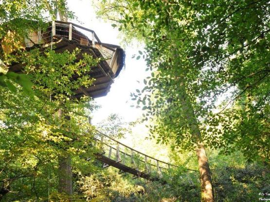 Cabane Amazonie (à partir de 12 ans)