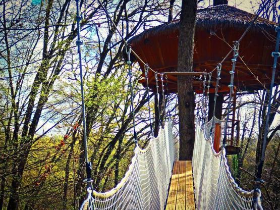 Cabane de la Canopée (à partir de 6 ans)