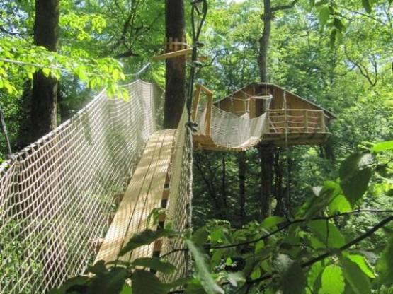 Cabane à pont de singe des Gibbons (à partir de 12 ans)