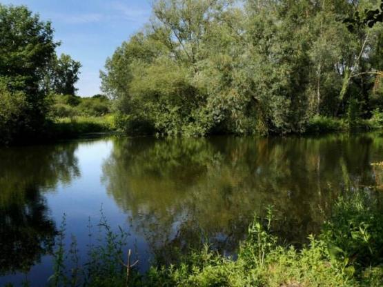 Cottage SUPER IBIZA PMR