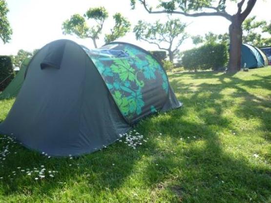 Pitch STANDARD without electricity