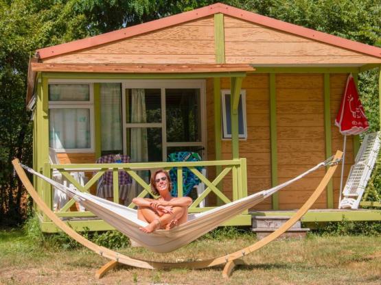 Cottage Calendula Premium