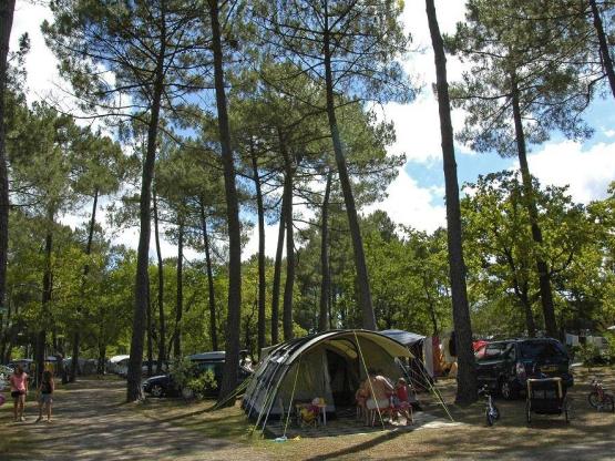 Emplacement = TENTE +1voiture ou CARAVANE + 1 voiture ou VAN (sans vidange) + électricité 10 AMP*