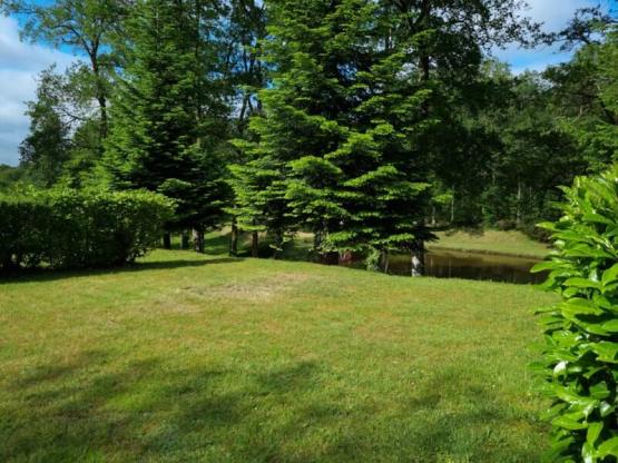 Emplacement Nature paysagé - 1 véhicule (voiture, CC ou moto) - électricité 10A