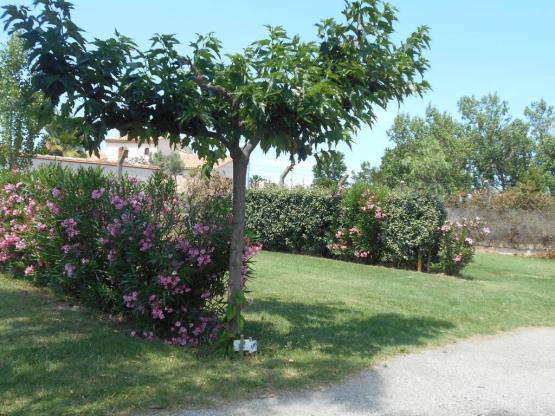 Emplacement avec éléctricité