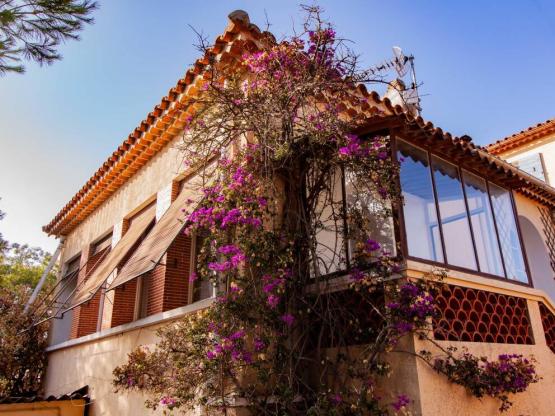 Appartement Bougainvillier 44 m² - 3 pièces - 2 chambres - Climatisation