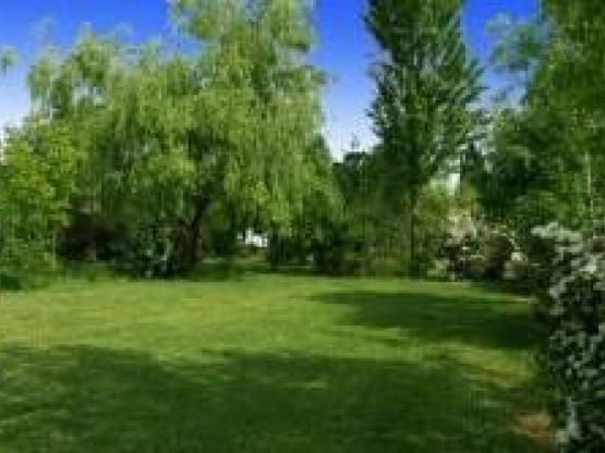 Emplacement + 1 voiture + tente, caravane ou camping-car + électricité 10 A