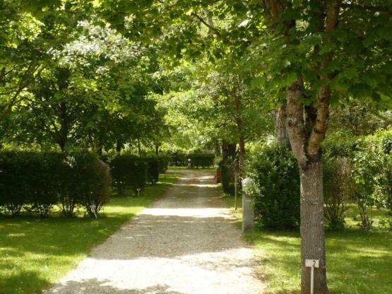 Forfait camping 1 emplacement  tente, caravane ou camping-car - 100m² - avec électricité 10 A