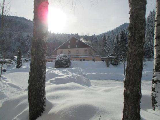 EMPLACEMENT CAMPING / forfait 2 personnes ( tente ou caravane + 1 voiture ou 1 camping car)