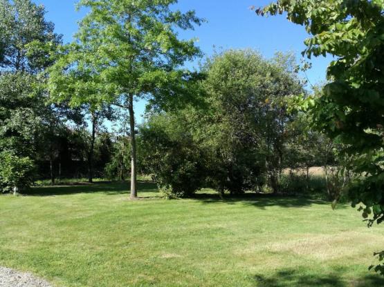 Stellplatz CONFORT (120/155m²) + 1 Fahrzeug +