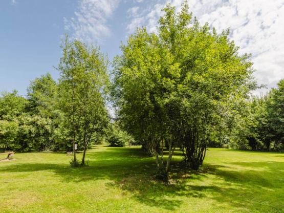 Forfait Nature : 1 voiture + 1 tente