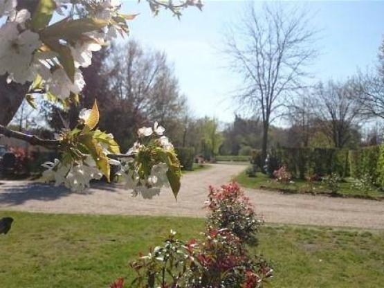 Emplacement : voiture + tente/caravane ou camping-car + électricité 10A