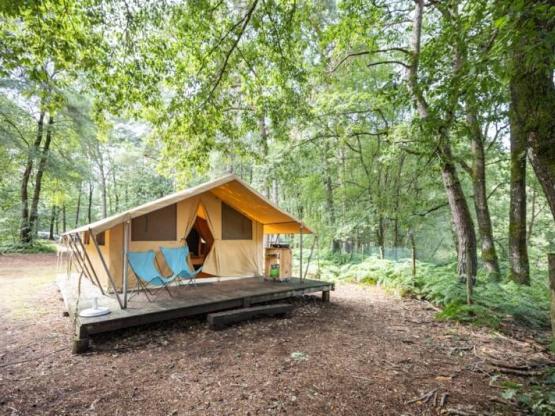 Zelt Toile & Bois Classic V