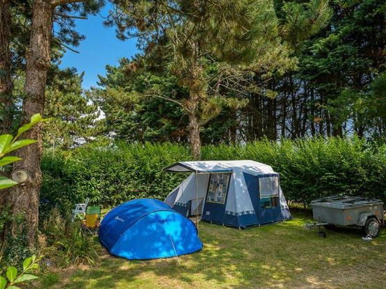 Stellplatz Nature (Zelt, Wohnwagen / 1 Auto)