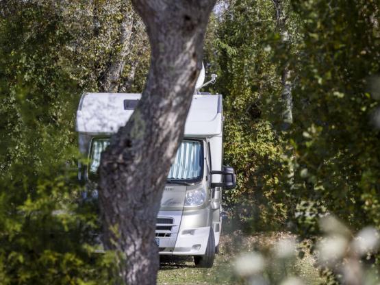 Forfait Confort : Emplacement  pour Caravane, camping-car ou tente +1 voiture + Electricité (10 A)