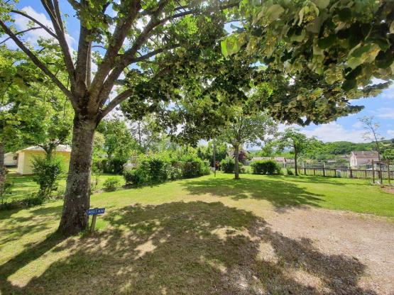 Stellplatz Confort (Zelt, Wohnwagen, Wohnmobil / 1 Auto / Strom 10A)