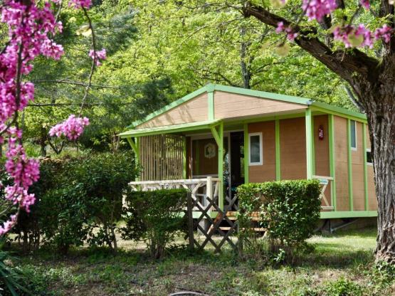 Chalet n°4 Albizia 28 m² tout confort option TV