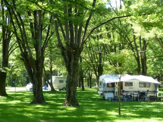Forfait emplacement 1 à 2 pers SANS ELECTRICITE + véhicule+ tente/caravane ou camping-car