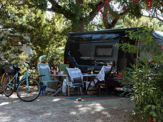 Forfait Empl. + Véhicule + Tente ou Caravane + Electricité (max. 6 pers)