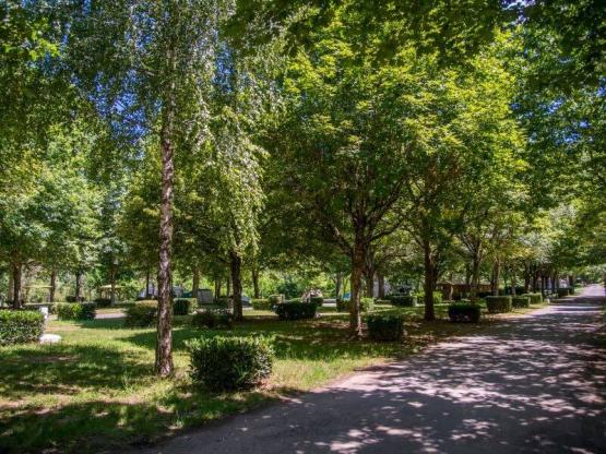 Pauschale Nature 80m² : 1 Zelt, Wohnwagen oder Wohnmobil / 1 Auto.