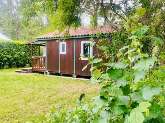 Chalet Figuier Standard 20m² - 2 chambres + Terrasse couverte 10m²