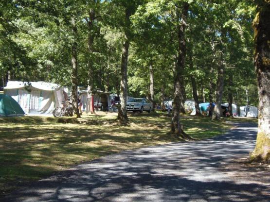 Dagarrangement: tent, caravan + 1 voertuig en camper met 16A-elektriciteit