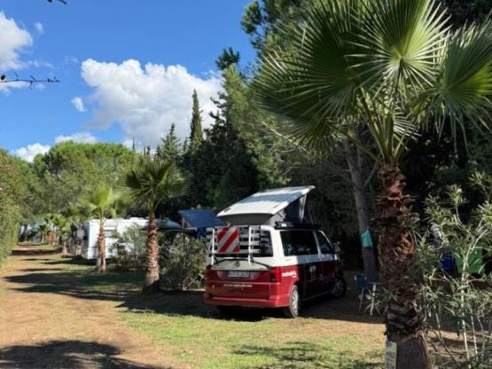 Forfait Privilège (1 tente, caravane ou camping-car / 1 voiture / électricité 10A)