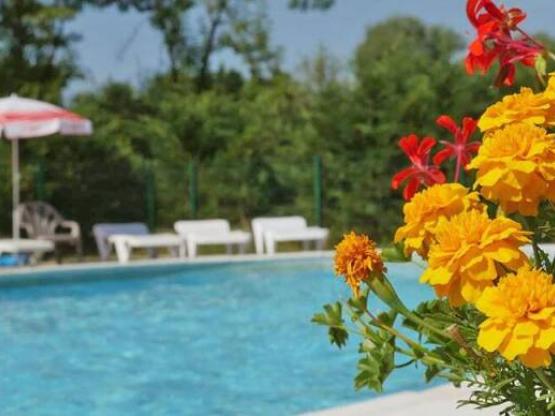 Lodge Freeflower Standard 37m² (2 chambres) - Terrasse couverte