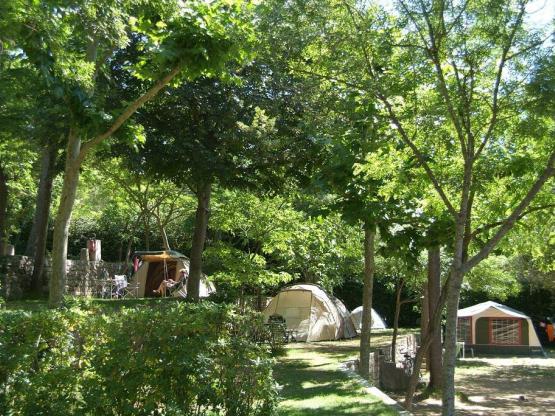 Nature pitch (without electricity) - 7m max rope/drawbar incl