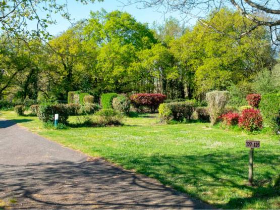 Pitch for 1 caravan or 1 tent  + electricity + water point and sewage connection + 1 car -