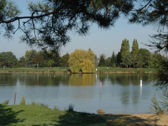 Natuur houten chalet (2 volwassenen + 2 kind)