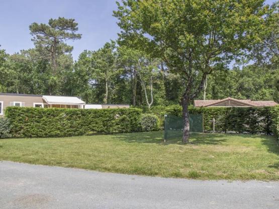 Stellplatz: Auto + Zelt oder Wohnwagen + Strom 100 M2