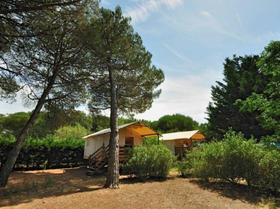 Cabane Lodge Standard sur pilotis 34m² - 2 chambres - terrasse couverte de 10m²