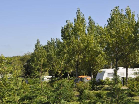 Empl, véhicule, électr,