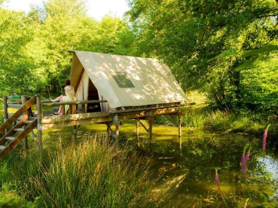 Tente Robinson Seul Au Monde