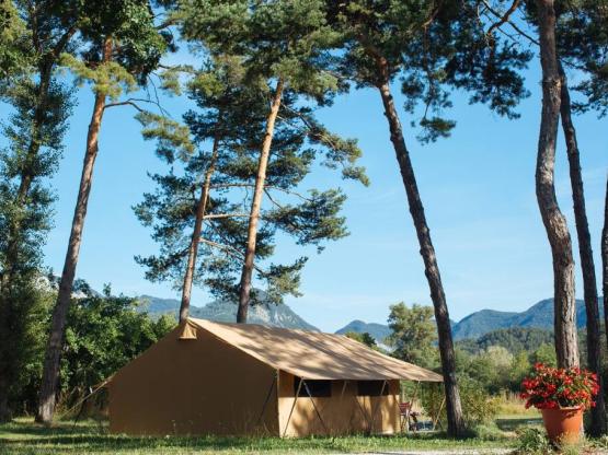 Lodge FOREST DELUXE (vue champ et sanitaire privé) n° 136 à 150 -