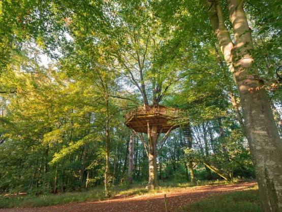 Cabane de L'Ecureuil