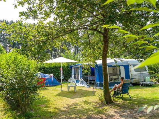 Stellplatz Confort (Zelt, Wohnwagen / 1 Auto / Strom 10A)