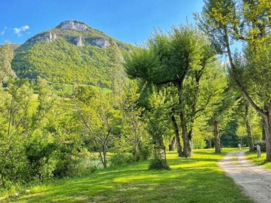 Stellplatz Flussufer (1 Zelt, Wohnwagen, Wohnmobil / 1 Auto)