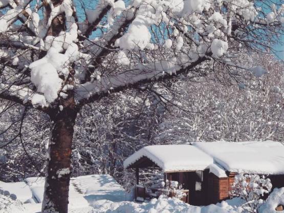 7.CHALET BOIS MONTAGNE ADAPTE POUR PERSONNE A MOBILITE REDUITE 35M² avec terrasse